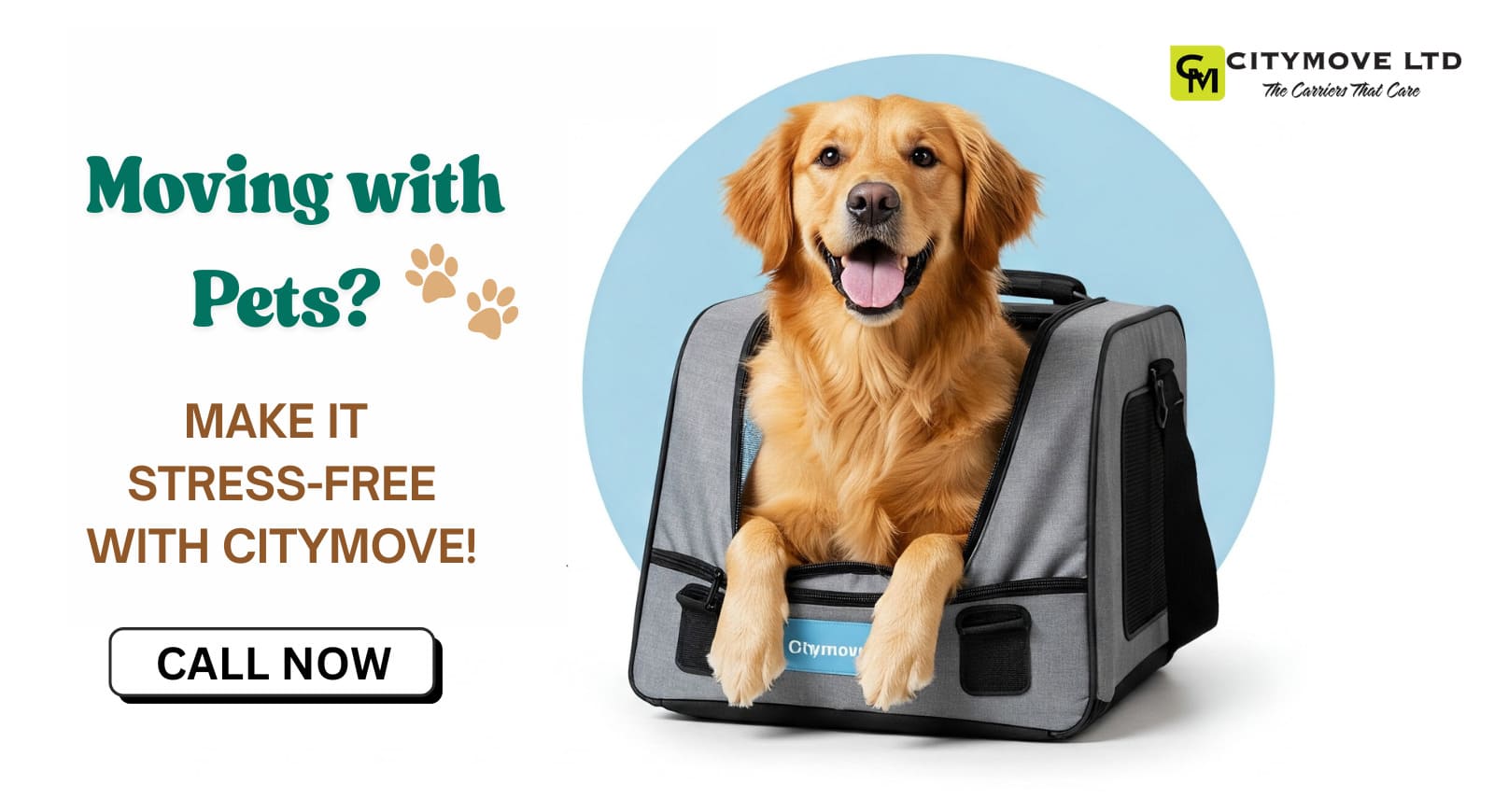 Tips for Moving with Pets: Complete Guide to Keep Them Happy & Safe While Moving