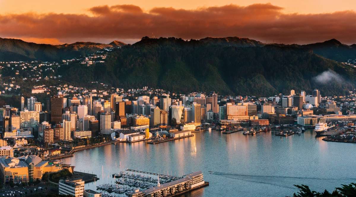 Auckland to Wellington movers — North Island intercity relocation