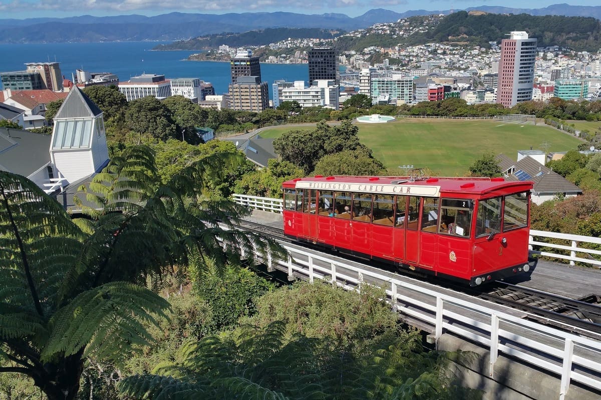 Moving to Wellington